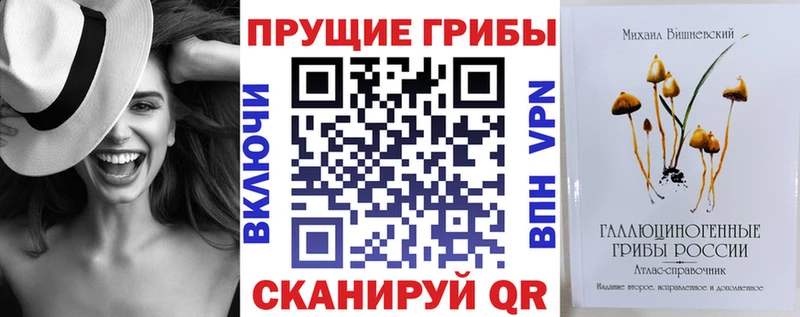 мега ONION  купить наркотики сайты  Курчалой  Псилоцибиновые грибы прущие грибы 